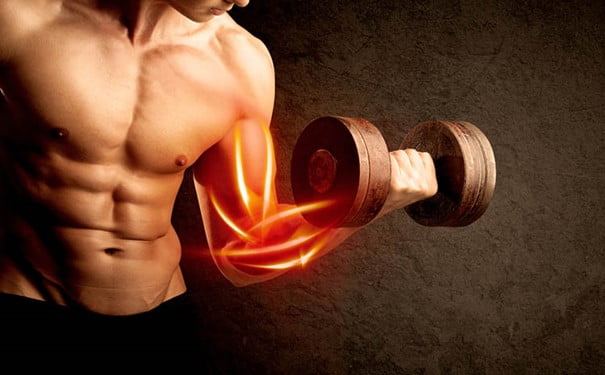 5 Beste Biceps Oefeningen voor Maximale Spiergroei