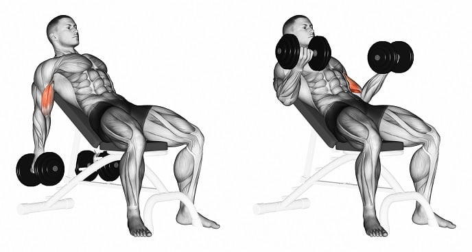 Biceps Oefeningen: Incline Dumbell Curl