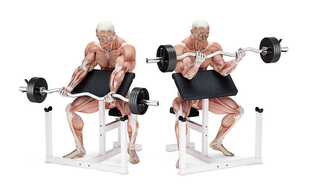 Biceps Oefeningen: Preacher Curl