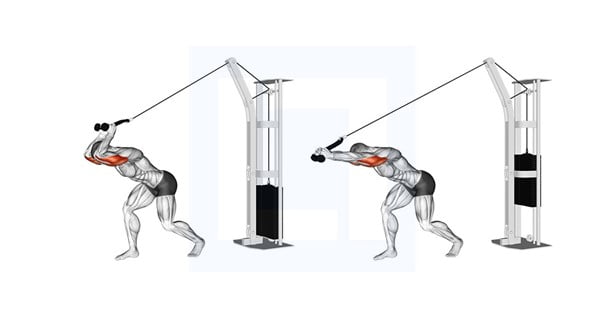 Tricep Oefeningen