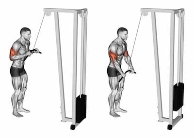 Tricep Pushdown