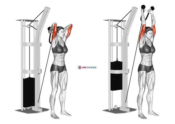 Tricep overhead extension